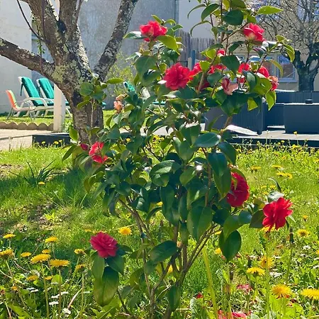 L'escapade Perigourdine, Wifi, Parking, Netflix, Piscine בית נופש *